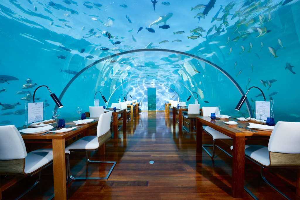740b9555-150c-4a68-8e27-6f374f0104a4-h-conrad-maldives-rangali-island_f-and-b_ithaa-undersea-restaurant_hero_credit-justin-nicholas_hi-res-2.jpeg