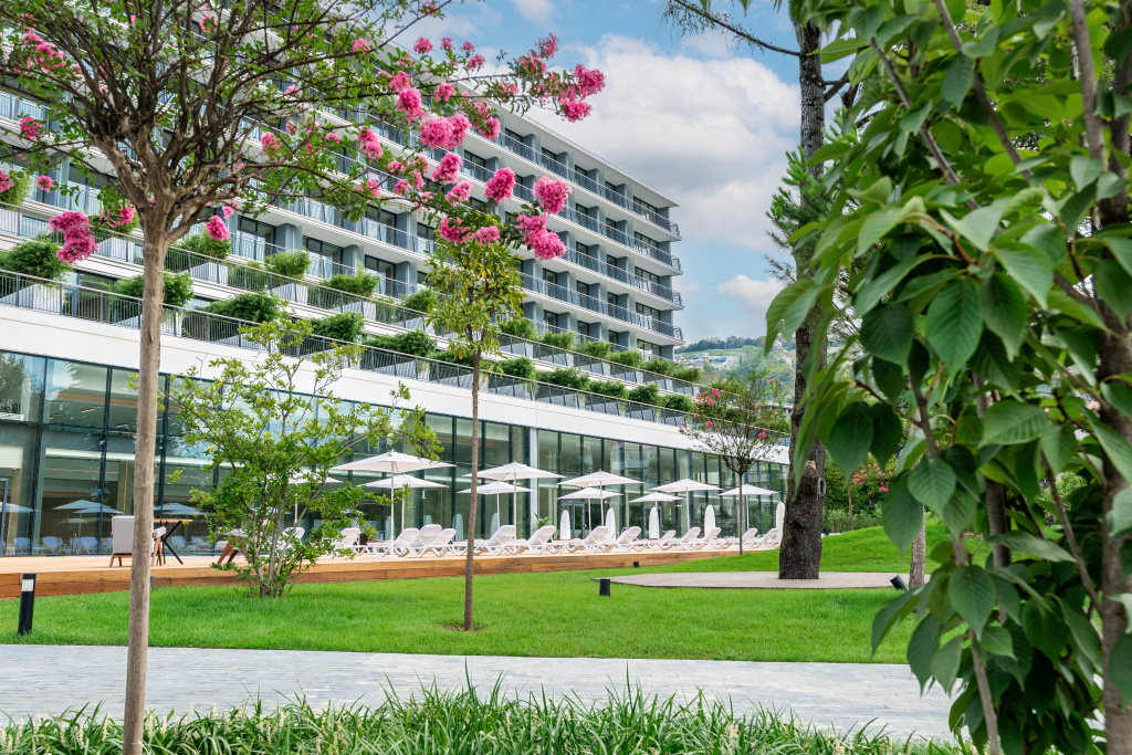 Территория 1.jpg Территория 1.jpg