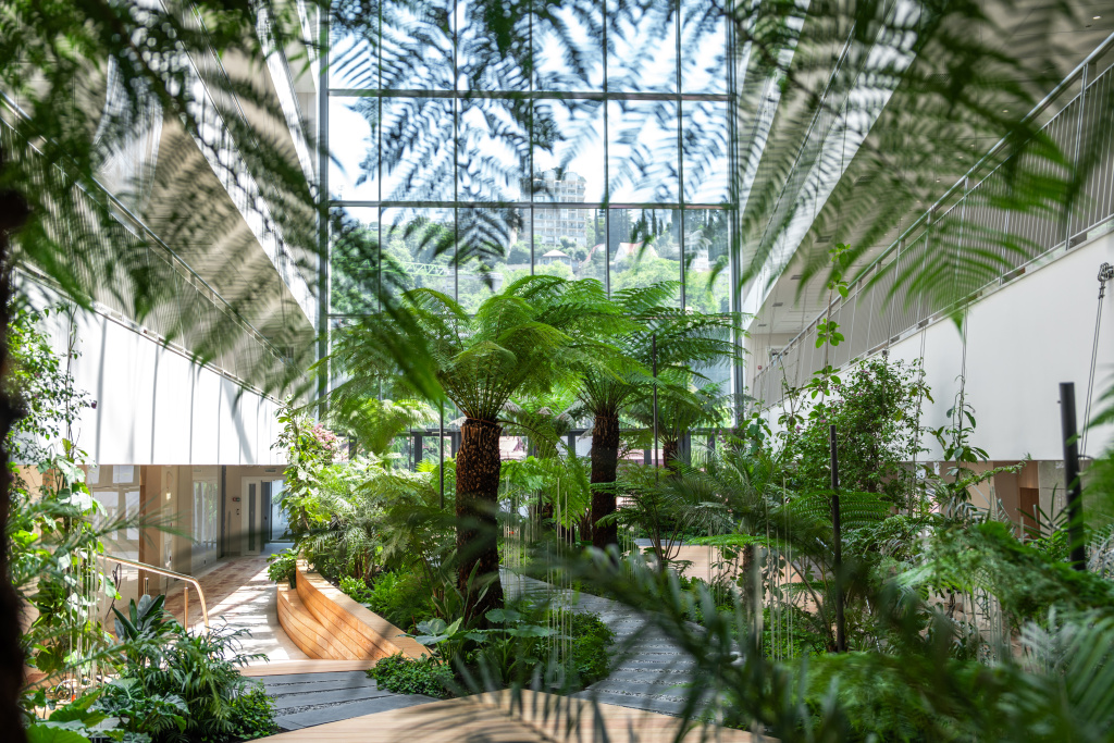 Атриум 1.jpg Атриум 1.jpg